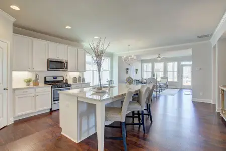 New construction Single-Family house 4 Tirian Pl, Acworth, GA 30101 - image 8