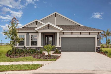 New construction Single-Family house 14792 Summer Branch Drive, Lithia, FL 33547 - photo 0