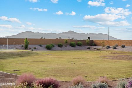 New construction Single-Family house 40015 W Agave Rd, Maricopa, AZ 85138 Puffin- photo 23 23