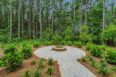 New construction Single-Family house 476 Rowley Lane, Summerville, SC 29486 Nantahala- photo 59 59