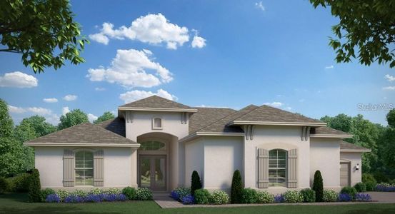 New construction Single-Family house 5028 Lake Toscana Dr, Wimauma, FL 33598 null- photo 0