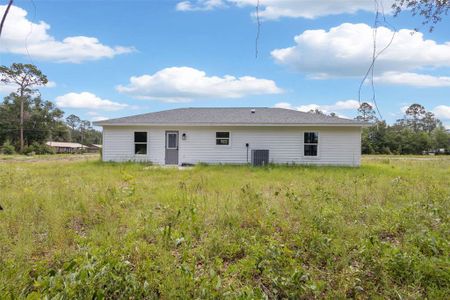 New construction Single-Family house 722 Alder Ln, Jasper, FL 32052 - image
