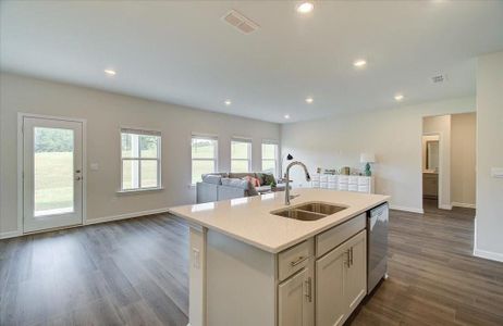 New construction Single-Family house 355 Sope Creek Cir, Pendergrass, GA 30567 Chatham- photo 12 12