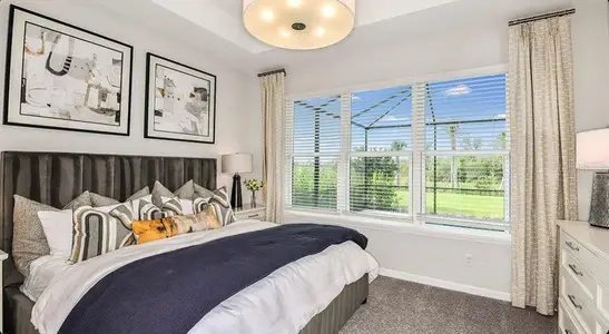 New construction Single-Family house 765 Steel Dr, Apollo Beach, FL 33572 plan Saint Vincent - image