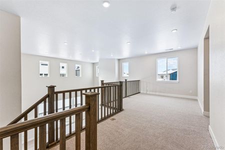 New construction Single-Family house 5723 Farrier Pt, Castle Rock, CO 80104 Copper- photo 28 28