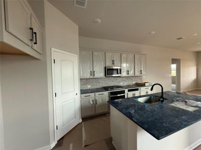 New construction Single-Family house 284 Denali Wy, Dripping Springs, TX 78620 Travis- photo 5 5