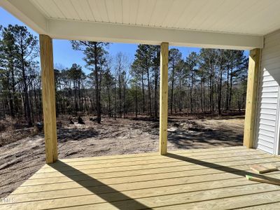 New construction Single-Family house 394 Duncan Creek Rd, Unit #158, Lillington, NC 27546 null- photo 3 3