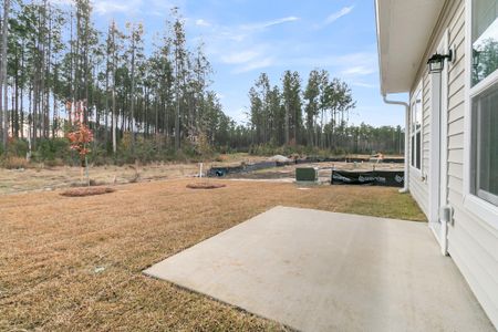 New construction Townhouse house 853 Descartes St, Summerville, SC 29486 Palmetto- photo 36 36