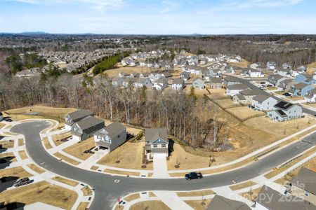 New construction Single-Family house 14030 Turncloak Dr, Charlotte, NC 28278 Westover- photo 10 10