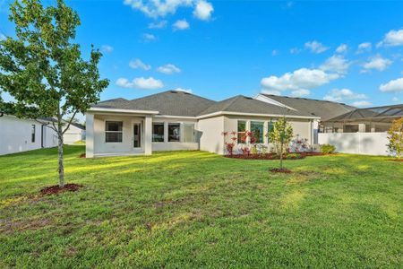 New construction Single-Family house 6035 Nikki Ln, Odessa, FL 33556 null- photo 0