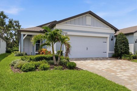 New construction Single-Family house 9289 Ballaster Pointe Lp, Parrish, FL 34219 - image