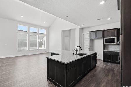 New construction Single-Family house 113 Raven Rd, Castroville, TX 78009 plan Gregory - image 19