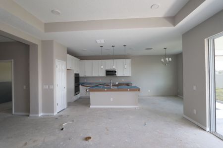 New construction Single-Family house 3150 Adams Cross Dr, Zephyrhills, FL 33540 Miranda- photo 87 87