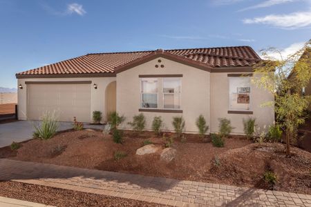 New construction Single-Family house 1469 E Fleet Pl, Casa Grande, AZ 85122 null- photo 0