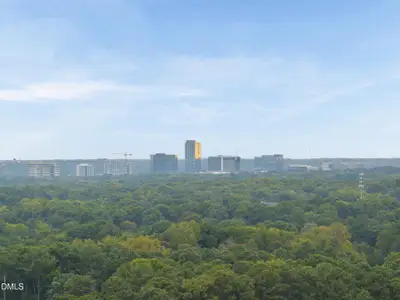 New construction Single-Family house 7000 N Ridge Dr, Raleigh, NC 27615 - image 5