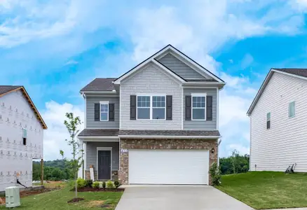 New construction Single-Family house 211 Hillview Ave, Unit 89, Shelbyville, TN 37160 - image