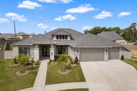 New construction Single-Family house 410 Arctic Warbler Ct, Magnolia, TX 77354 - image