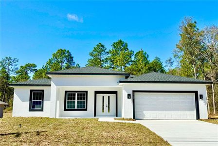 New construction Single-Family house 8934 N Paradisea Dr, Citrus Springs, FL 34433 null- photo 0