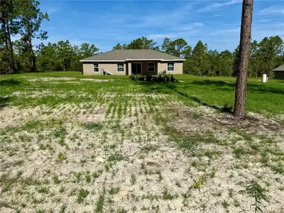 New construction Single-Family house 3039 Sw Viburnum Rd, Dunnellon, FL 34431 - image