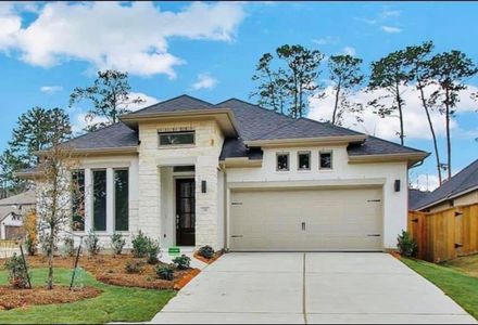 New construction Single-Family house 210 W Netleaf Ct, Montgomery, TX 77316 plan 2474W - image