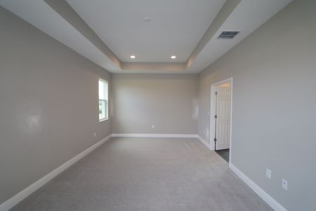 New construction Single-Family house 31229 Denham Ridge Ln, Wesley Chapel, FL 33545 Newport II- photo 63 63