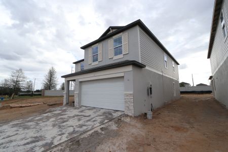 New construction Single-Family house 38350 Tobiano Loop, Dade City, FL 33525 Cabo- photo 84 84