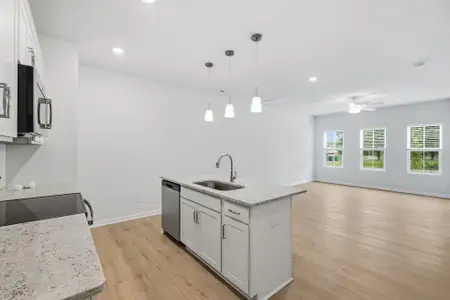 New construction Townhouse house 4628 Lakeview Rd, Charlotte, NC 28216 plan Cannalily - image 8