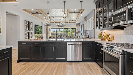 New construction Single-Family house 420 Douglas Hill Dr, Lady Lake, FL 32159 plan Eva - image 13