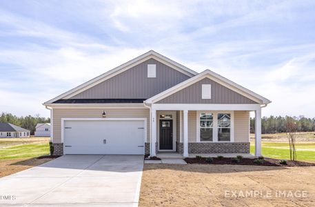 New construction Single-Family house 76 Charred Oak Ct, Lillington, NC 27546 - image