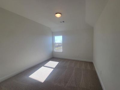 New construction Single-Family house 4424 Aralia Dr, Fort Worth, TX 76036 - image 14