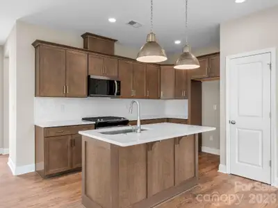 New construction Townhouse house 137 Cherry Springs Ln, Unit 12-E, Asheville, NC 28804 - image 6