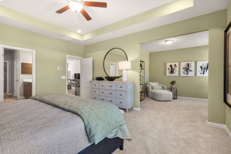 Foxtail Palms by Smith Douglas Homes in Manvel - photo 35 35