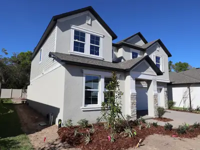 New construction Single-Family house 12901 Castle Oaks Dr, Hudson, FL 34669 plan Loreto - image