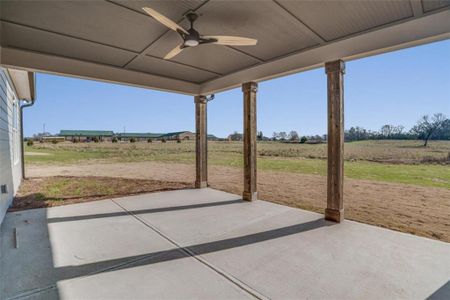 New construction Single-Family house 180 Paislee Park, Fayetteville, GA 30215 null- photo 30 30