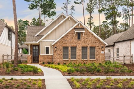 New construction Single-Family house 11210 Whimsical Wy, Montgomery, TX 77316 plan Elgin - image