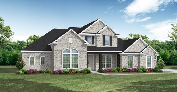 New construction Single-Family house 104 Gruene Hvn, New Braunfels, TX 78132 plan Colorado - image