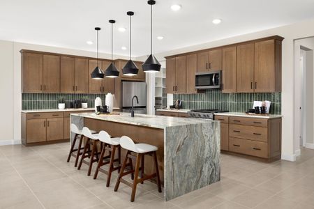 New construction Single-Family house 4555 W Tortolita Peak Dr, Marana, AZ 85658 plan Slate - image 9