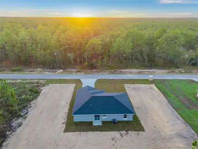 New construction Single-Family house 22632 Sw Nautilus Blvd, Dunnellon, FL 34431 - image