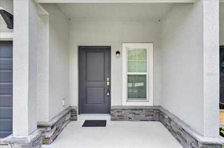 New construction Single-Family house 10821 Quickwater Ct, Riverview, FL 33569 - image 4