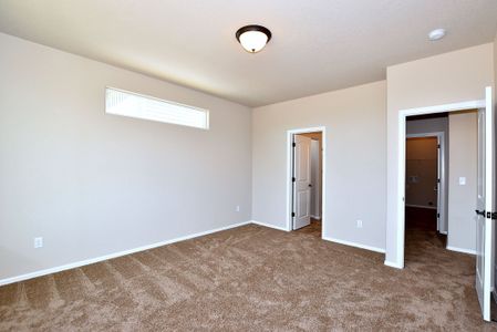 New construction Single-Family house 437 Vivid Ln, Windsor, CO 80550 null- photo 24 24