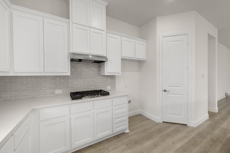 New construction Single-Family house 424 Lamb Ln, Waxahachie, TX 75167 plan Ashstone - image 10