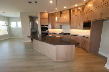 New construction Single-Family house 20515 Via Mimosa Dr, Cypress, TX 77433 plan The Dandelion - image 8