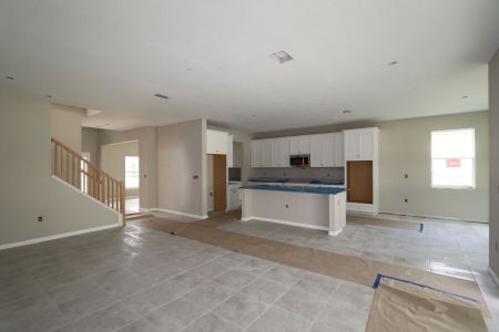 New construction Single-Family house 12008 Hilltop Farms Dr, Dade City, FL 33525 Alenza- photo 91 91