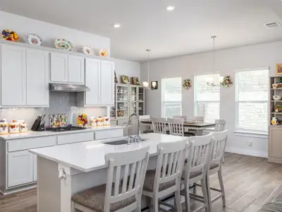 New construction Single-Family house 245 Brooks Ranch Dr, Kyle, TX 78640 plan Sycamore - image 5