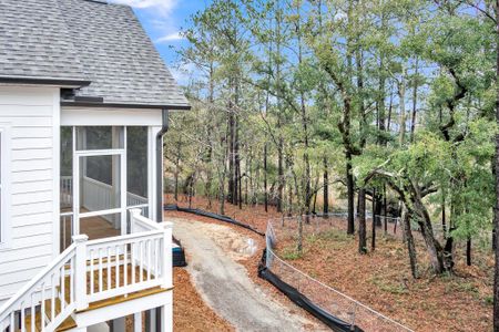 New construction Single-Family house 1153 Oak Bluff Ave, Charleston, SC 29492 Jackson Drive Under- photo 45 45