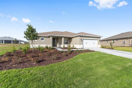 New construction Single-Family house 10657 Sw 102Nd Ln, Ocala, FL 34481 - image