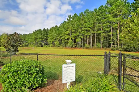 New construction Single-Family house 511 Verdi Dr, Summerville, SC 29486 HENNINGER- photo 60 60