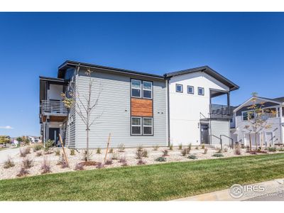 New construction Multi-Family house 2120 Falling Leaf Dr, Unit 8, Windsor, CO 80550 null- photo 1 1