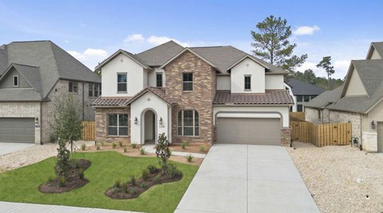 New construction Single-Family house 41734 Wendele Wy, Montgomery, TX 77316 plan Briggs - image