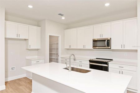 New construction Single-Family house 6225 Sw 97Th St, Ocala, FL 34476 plan Montgomery - image 10